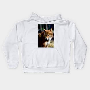 Dingo Stare Kids Hoodie